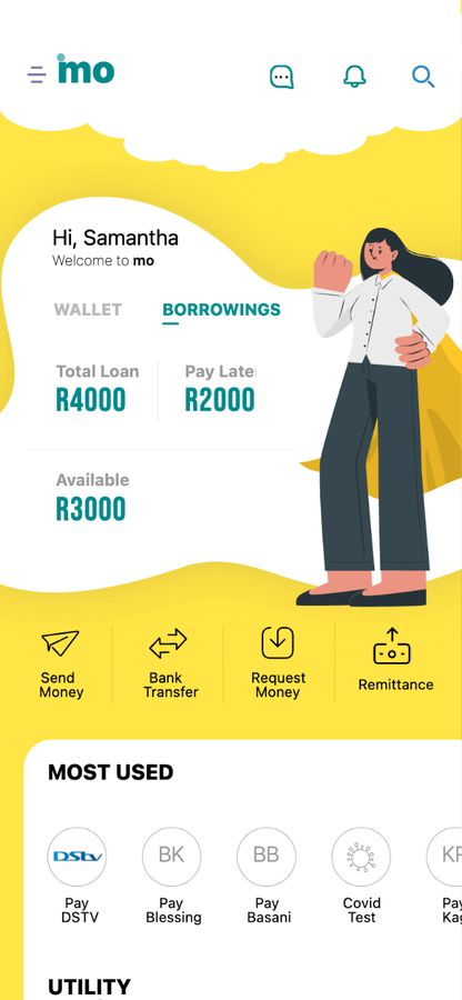 Borrowings