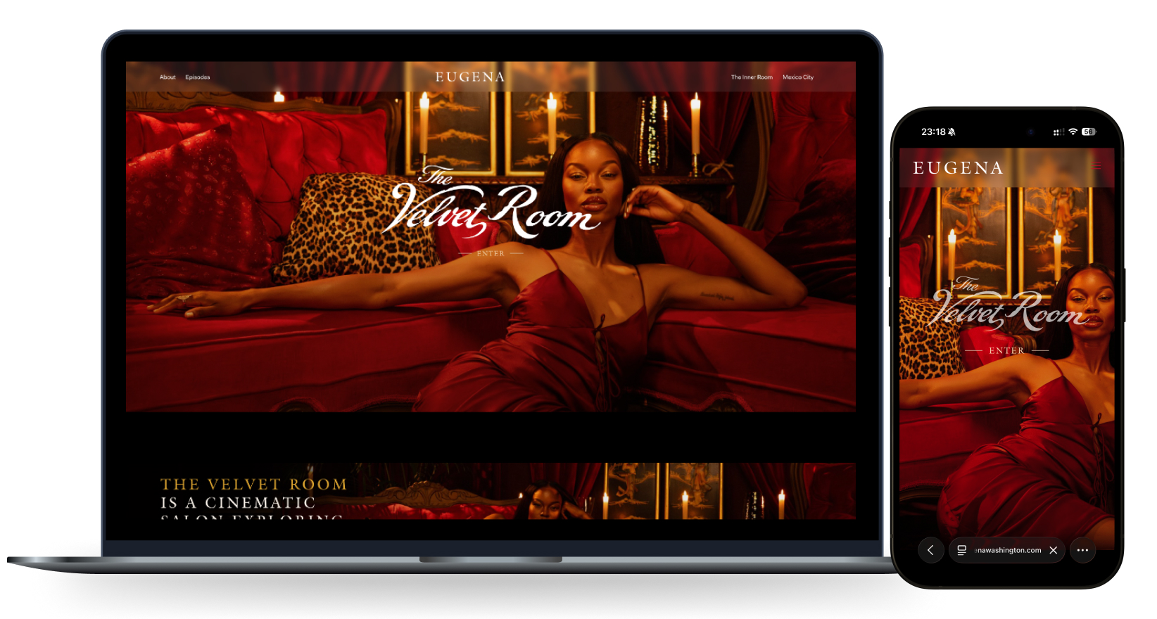 The Velvet Room project