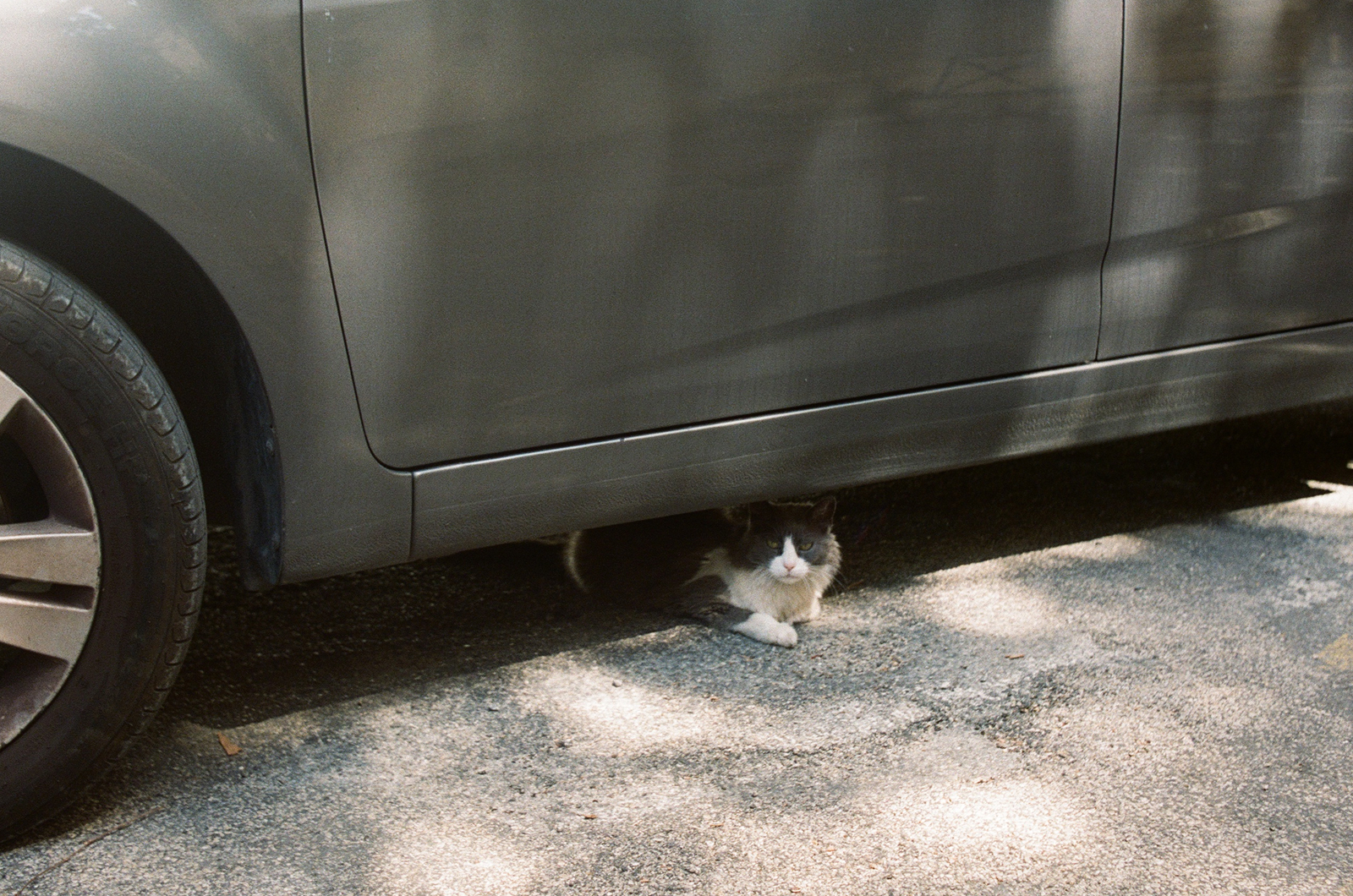 Film photo