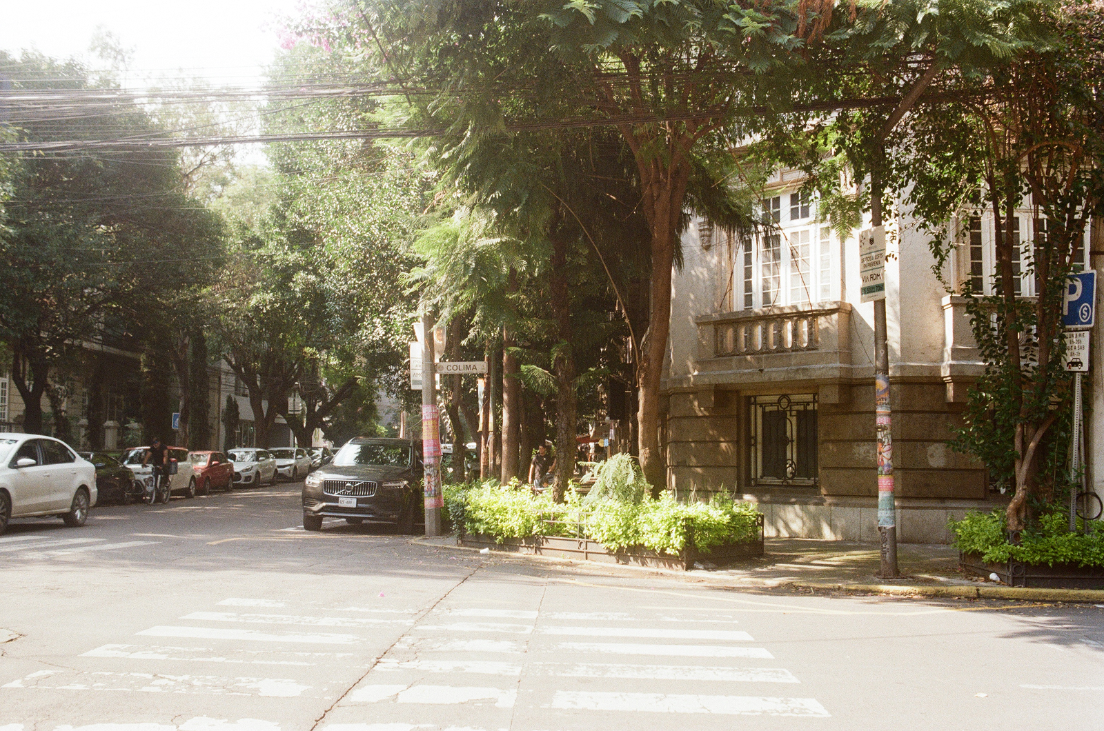 Film photo