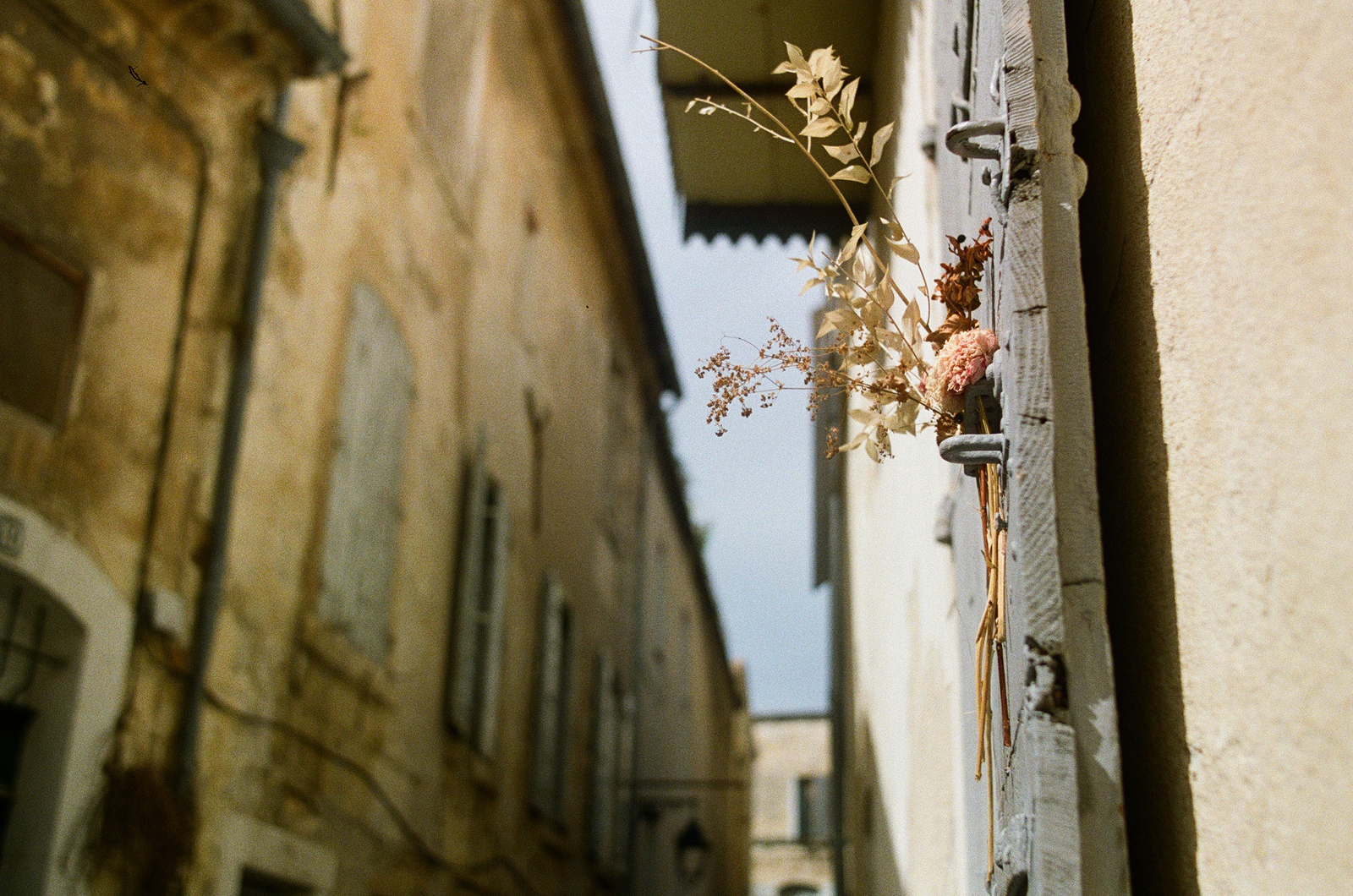Film photo
