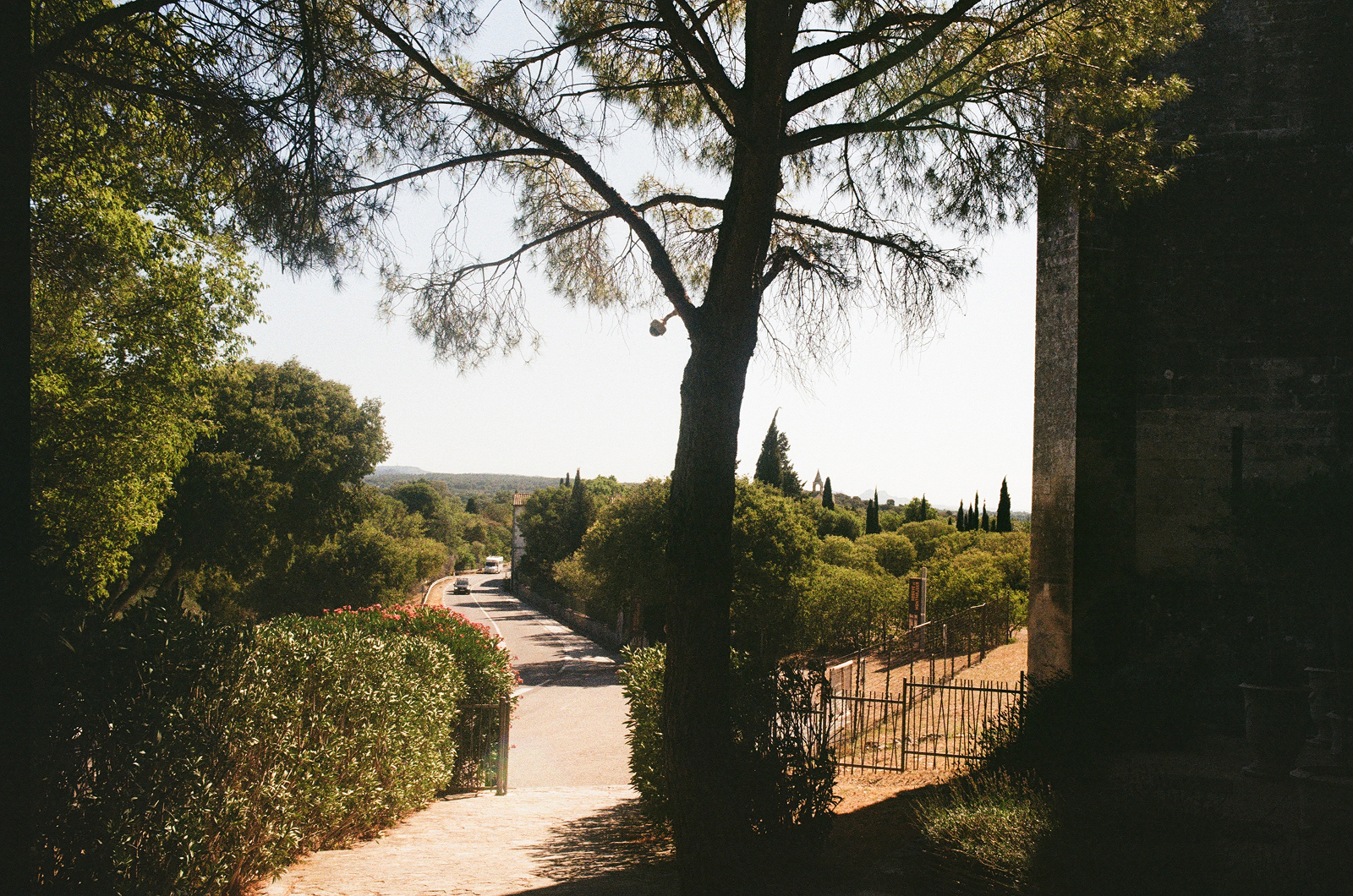 Film photo